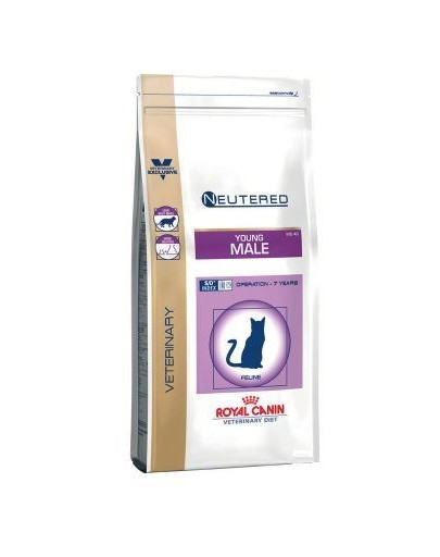 ROYAL CANIN Cat young male 10 kg