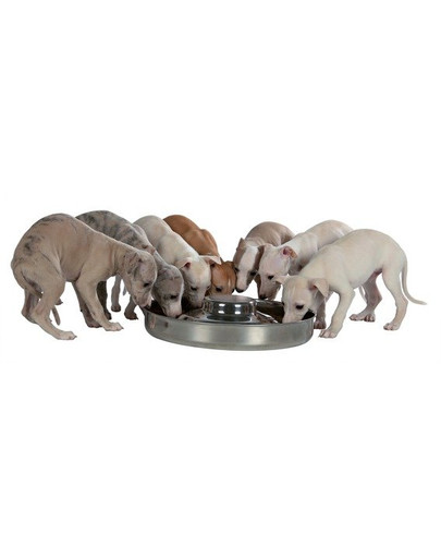 TRIXIE Miska pre šteňatá 4.0 l / o 38 cm