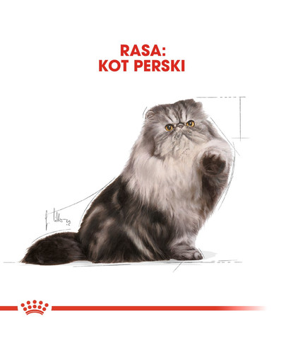 ROYAL CANIN Persian Adult 12x85 g