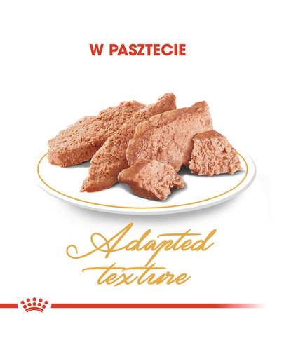 ROYAL CANIN Persian Adult 12x85 g