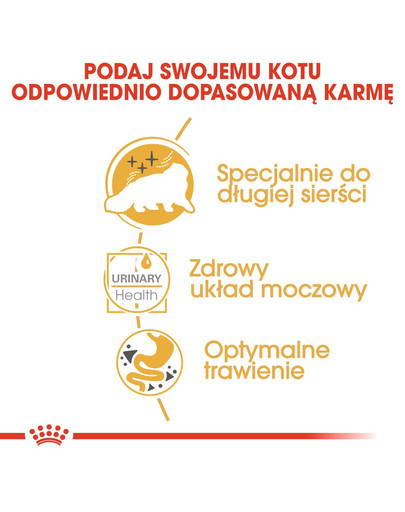 ROYAL CANIN Persian Adult 12x85 g