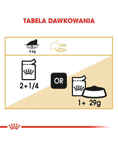 ROYAL CANIN Persian Adult 12x85 g