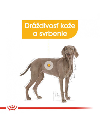 ROYAL CANIN Maxi dermacomfort 3 kg granule pre veľké psy s problémami s kožou