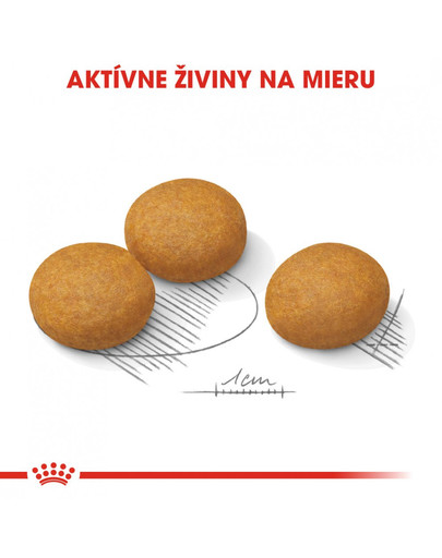 ROYAL CANIN Maxi dermacomfort 3 kg granule pre veľké psy s problémami s kožou