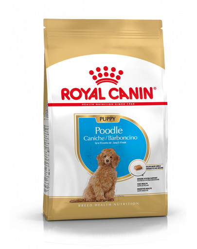 ROYAL CANIN Poodle Puppy 500g granule pre šteniatka pudlov
