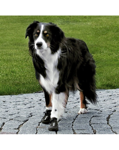 TRIXIE Ochranné topánky Walker Active,M-L, 2 ks