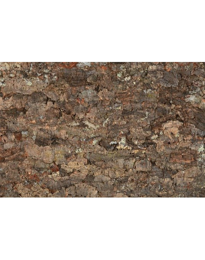 TRIXIE Korková stena do terária 90x60cm