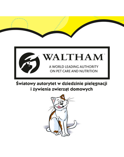 DREAMIES Mega Syr 180g