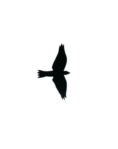 TRIXIE Sada samolepiek dravé vtáky 3 ks