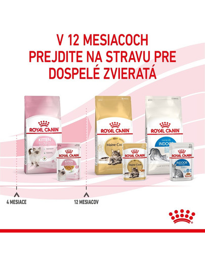 ROYAL CANIN Kitten Instinctive Jelly 12 x 85g kapsička pre mačiatka v želé