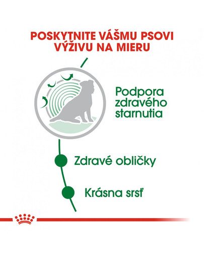 ROYAL CANIN Mini ageing  12+ 85g x12 kapsička pre staré malé psy