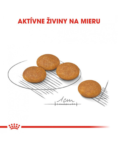 ROYAL CANIN Mini dermacomfort 3 kg granule pre malých psov s problémami s kožou