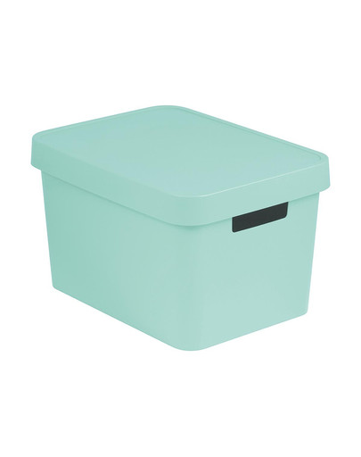 CURVER INFINITY úložný box s vekom 17 l Mint