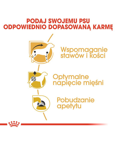 ROYAL CANIN Jazvečík 85 Gr