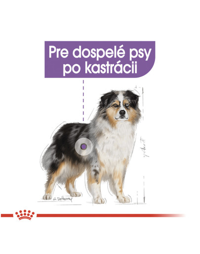ROYAL CANIN Medium Sterilised 10 kg granule pre kastrované stredné psy