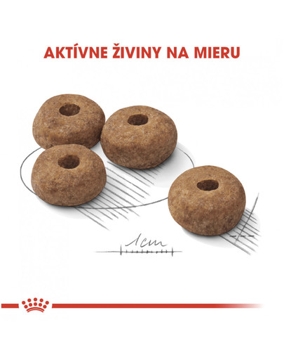 ROYAL CANIN Medium Sterilised 10 kg granule pre kastrované stredné psy