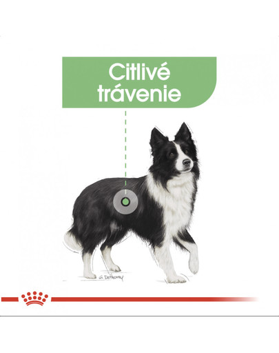 ROYAL CANIN Medium Digestive Care 10 kg