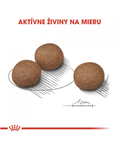 ROYAL CANIN Medium Digestive Care 10 kg