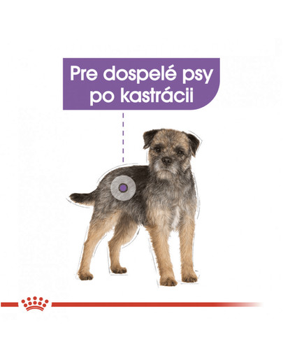 ROYAL CANIN Mini Sterilised 1 kg granule pre kastrované malé psy