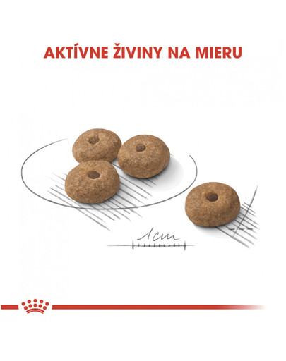 ROYAL CANIN Mini Sterilised 1 kg granule pre kastrované malé psy