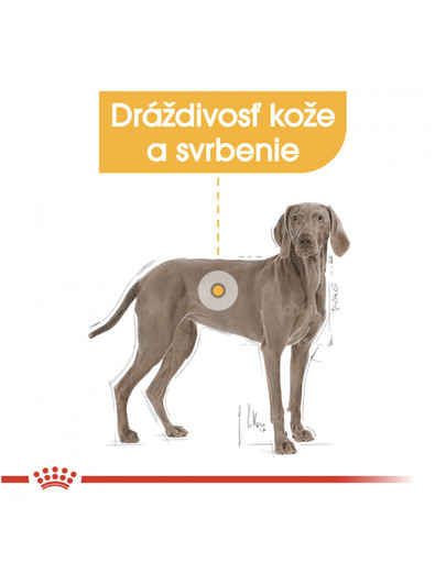 ROYAL CANIN Maxi Dermacomfort 10 kg granule pre veľké psy s problémami s kožou