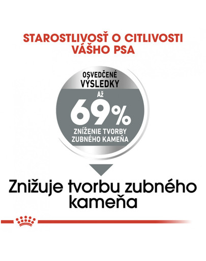 ROYAL CANIN Mini dental care 8 kg granuly pre psy znižujúce tvorbu zubného kameňa