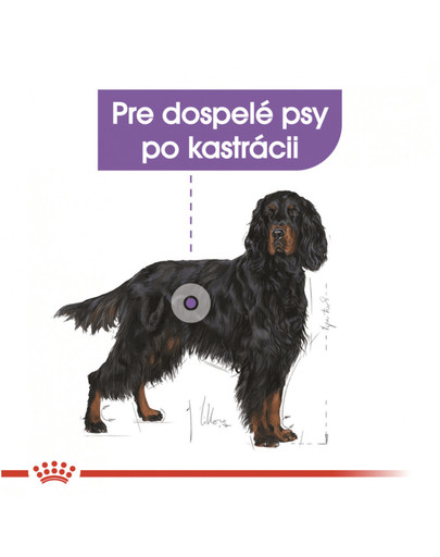 ROYAL CANIN Maxi Sterilised 3 kg granule pre kastrované veľké psy