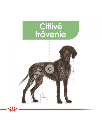 ROYAL CANIN Maxi Digestive Care 3 kg granule pre dospelých psov veľkých plemien s citlivým zažívacím traktom
