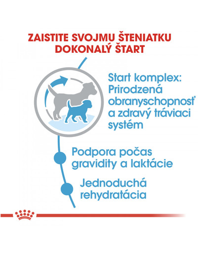 ROYAL CANIN Mini starter mother & babydog 3 kg granule pre brezivé alebo dojčiace suky a šteňatá