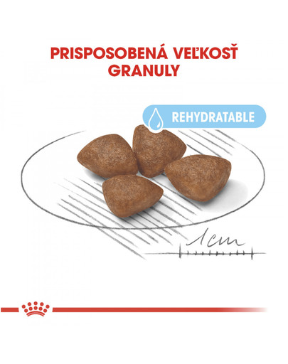 ROYAL CANIN Mini starter mother & babydog 3 kg granule pre brezivé alebo dojčiace suky a šteňatá