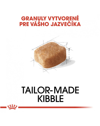 ROYAL CANIN Dachshund adult 500g granule pre dospelého jazvečíka