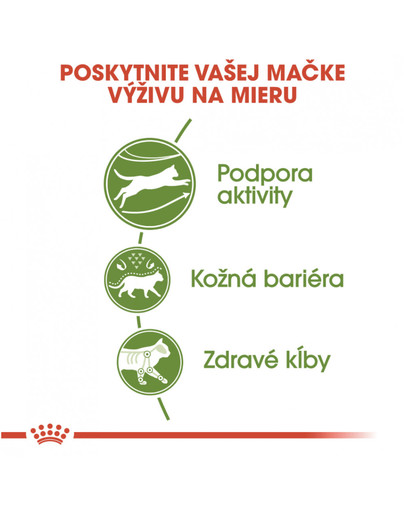 ROYAL CANIN Outdoor 400g granule pre mačky s častým pohybom vonku