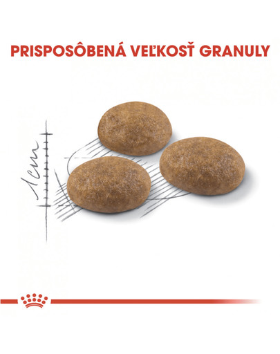 ROYAL CANIN Outdoor 400g granule pre mačky s častým pohybom vonku