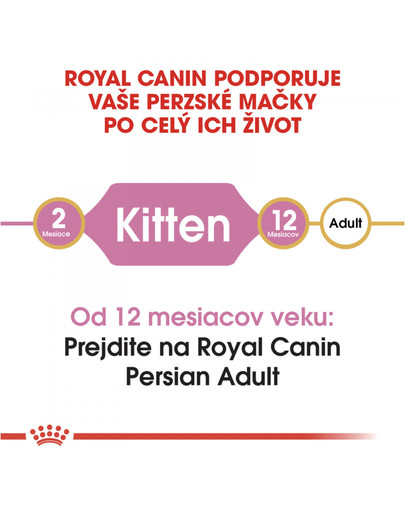 ROYAL CANIN Persian Kitten 10 kg granule pre perzské mačiatka