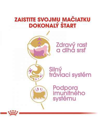 ROYAL CANIN Kitten persian 4 kg suché krmivo pre mačiatka do 12 mesiacov, perzská mačka