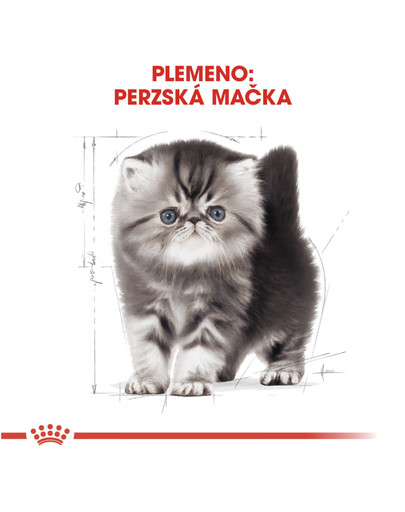 ROYAL CANIN Kitten persian 4 kg suché krmivo pre mačiatka do 12 mesiacov, perzská mačka