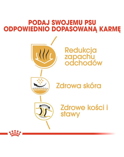 ROYAL CANIN French Bulldog Adult 3kg granule pre dospelého francúzskeho buldočka