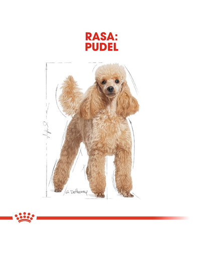 ROYAL CANIN Poodle Adult 500g granule pre dospelého pudla