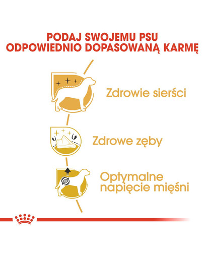 ROYAL CANIN Poodle Adult 7,5 kg