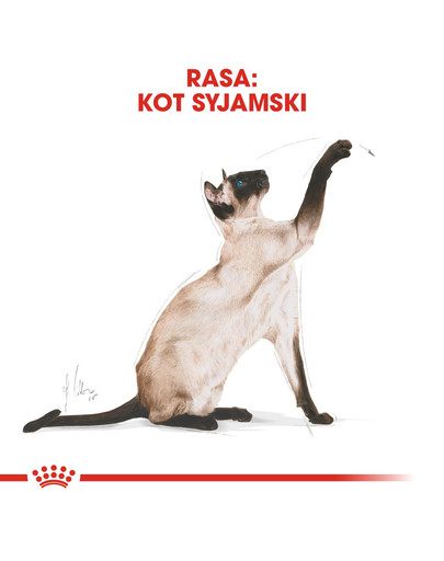 ROYAL CANIN Siamese Adult 10 kg