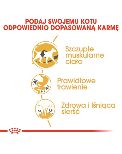 ROYAL CANIN Siamese Adult 10 kg