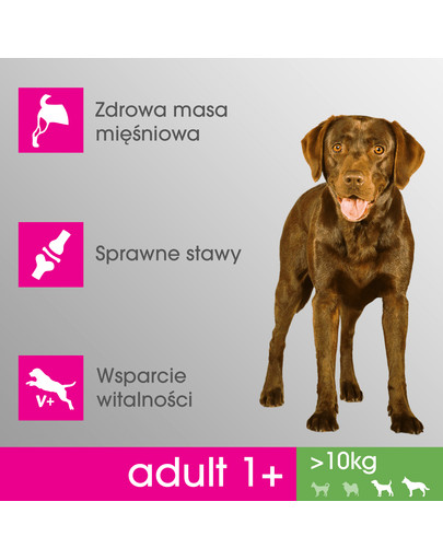 PERFECT FIT Perfect Fit 2,6 kg x 3 Kuracie pre stredné a veľké plemená