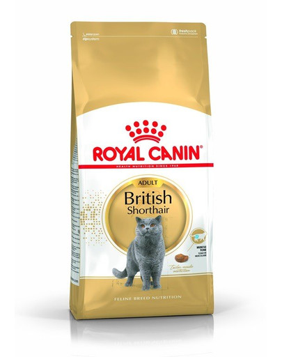 ROYAL CANIN British Shorthair Adult 4kg granule pre britské krátkosrsté mačky