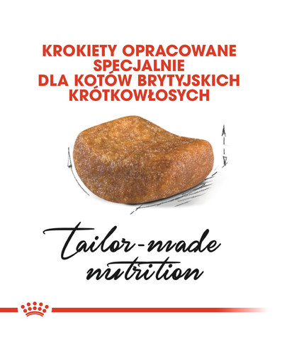 ROYAL CANIN British Shorthair Adult 4kg granule pre britské krátkosrsté mačky