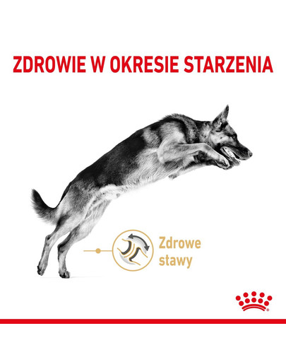 ROYAL CANIN German Shepherd Adult 5+ 12 kg