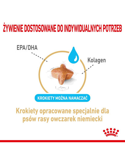 ROYAL CANIN German Shepherd Adult 5+ 12 kg