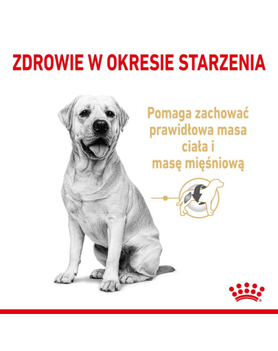 ROYAL CANIN Labrador Retriever Adult 5+ 3 kg