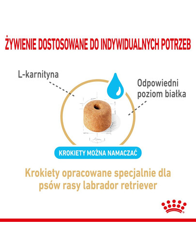 ROYAL CANIN Labrador Retriever Adult 5+ 12 kg granule pre labrodorské retrívry starších ako 5 rokov