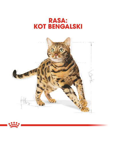 ROYAL CANIN Bengal Adult 400 g suché krmivo pre dospelé bengálske mačky