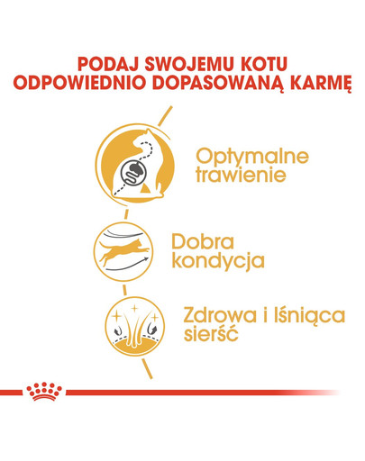 ROYAL CANIN Bengal Adult 400 g suché krmivo pre dospelé bengálske mačky